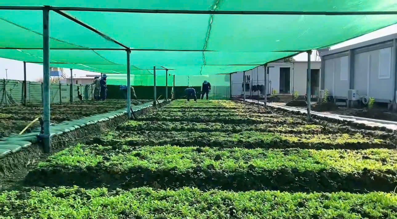 /UploadStore/admin/251115 dcb4/313251530195792451.jpg